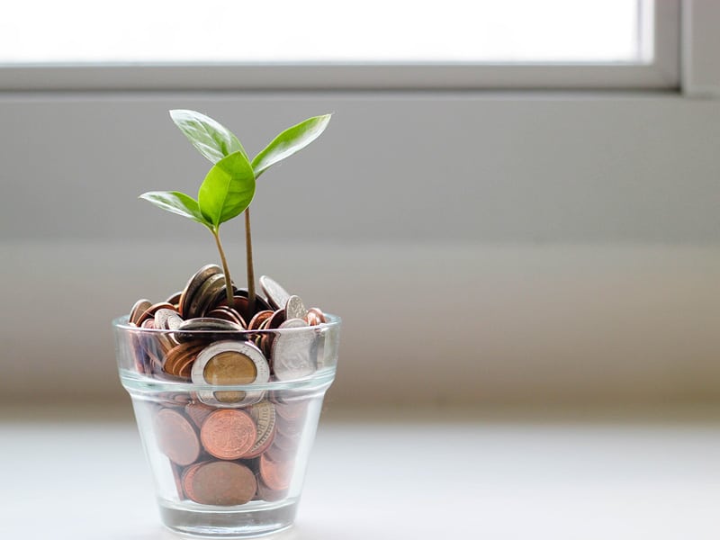 Pflanze in Glas voll mit Kleingeld